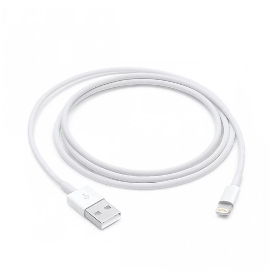 USB-A to Lightning Cable (1m)